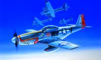 Model Kit letadlo 12485 - P-51D (1:72) Academy